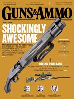 Guns & Ammo